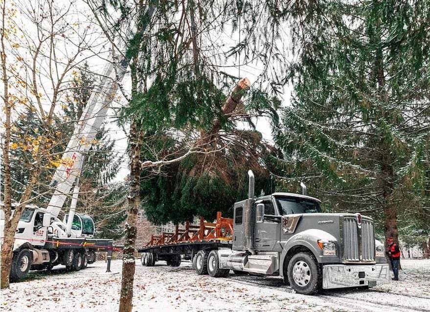 Kenworth 100th Anniversary T680 Signature Edition, with a newly installed graphics wrap, will transport the tree to the West Lawn of the U.S. Capitol Building. Hattiesburg Diesel Truck repair 601-288-4401